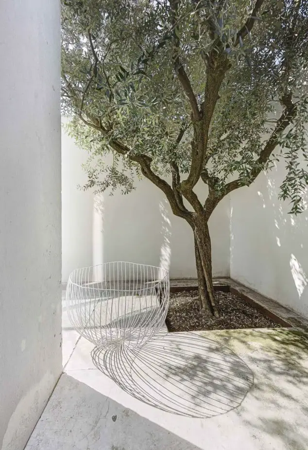 橄榄树和混凝土的房子景观的想法