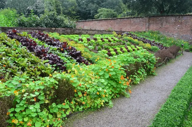 not quite a berm, but an example of a raised mound of earth you can plant directly into