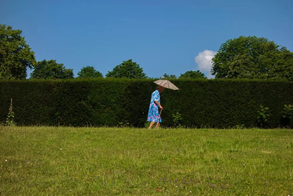 a solid hedge that completely blocks views