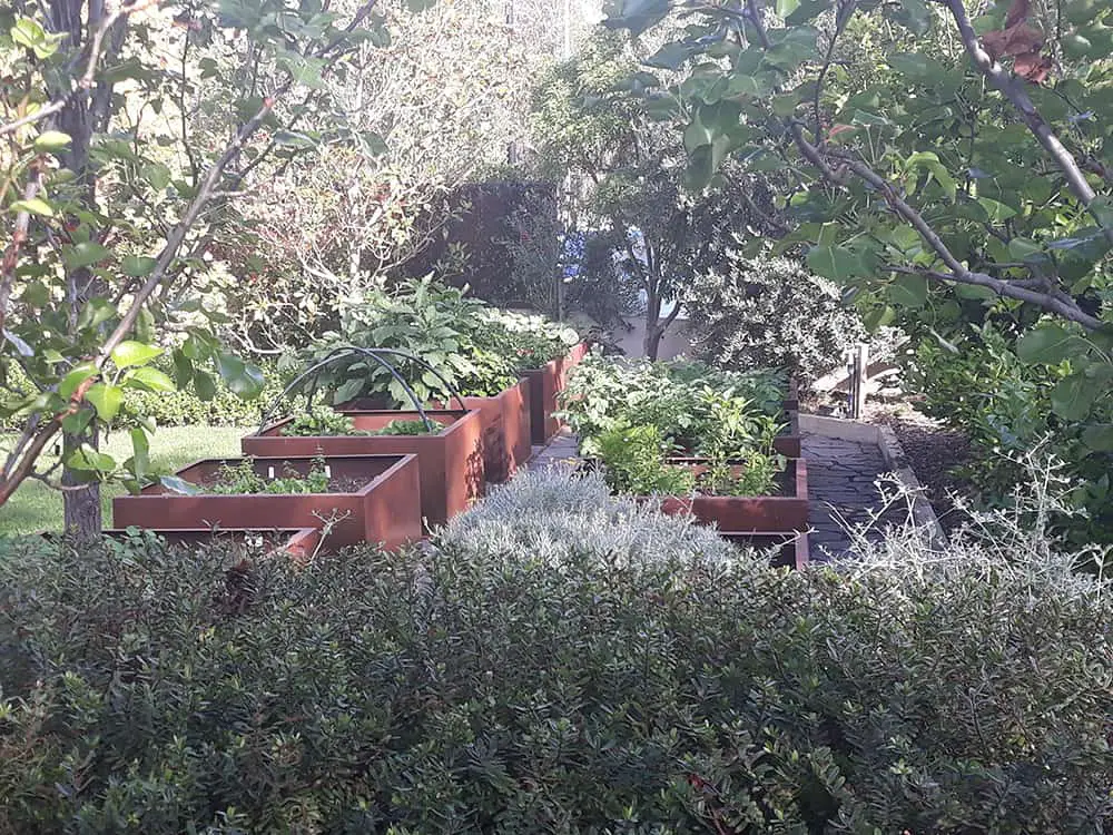 raised vegetable beds