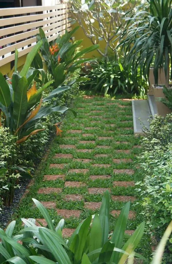 landscaping ideas side of house brick and grass path