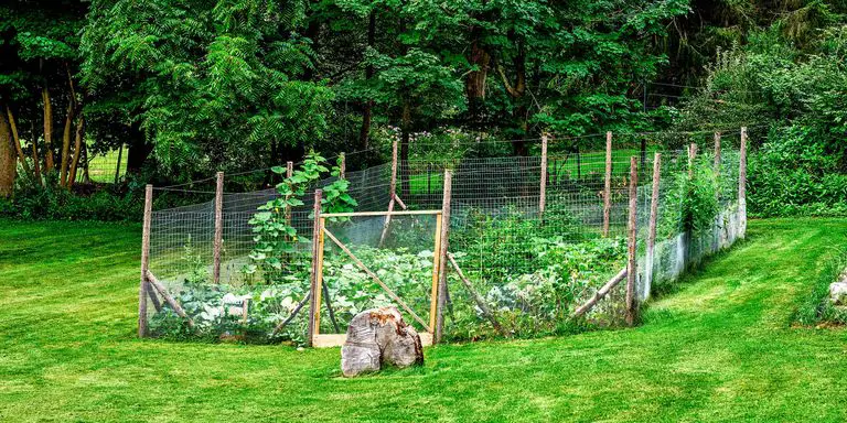 garden fence to keep rabbits out