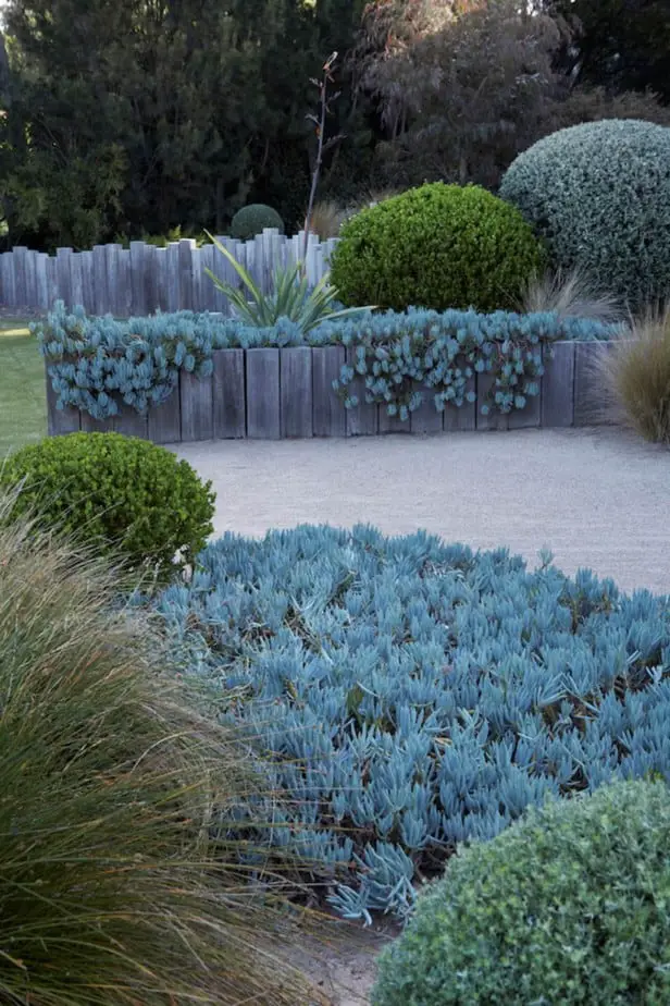 DIY绿化理念提出花园床