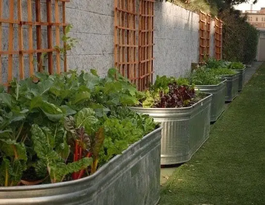 DIY花园思想提出了花园的容器中